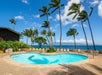 Beachfront outdoor pool surrounded by sun loungers and trees.