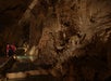 Stunning interior of Natural Bridge Caverns, featuring impressive stalactites and stalagmites illuminated by soft lighting, while visitors admire the geological formations near a reflective water surface.