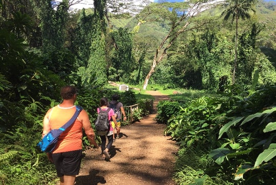 Manoa Trail