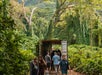 Through the trail