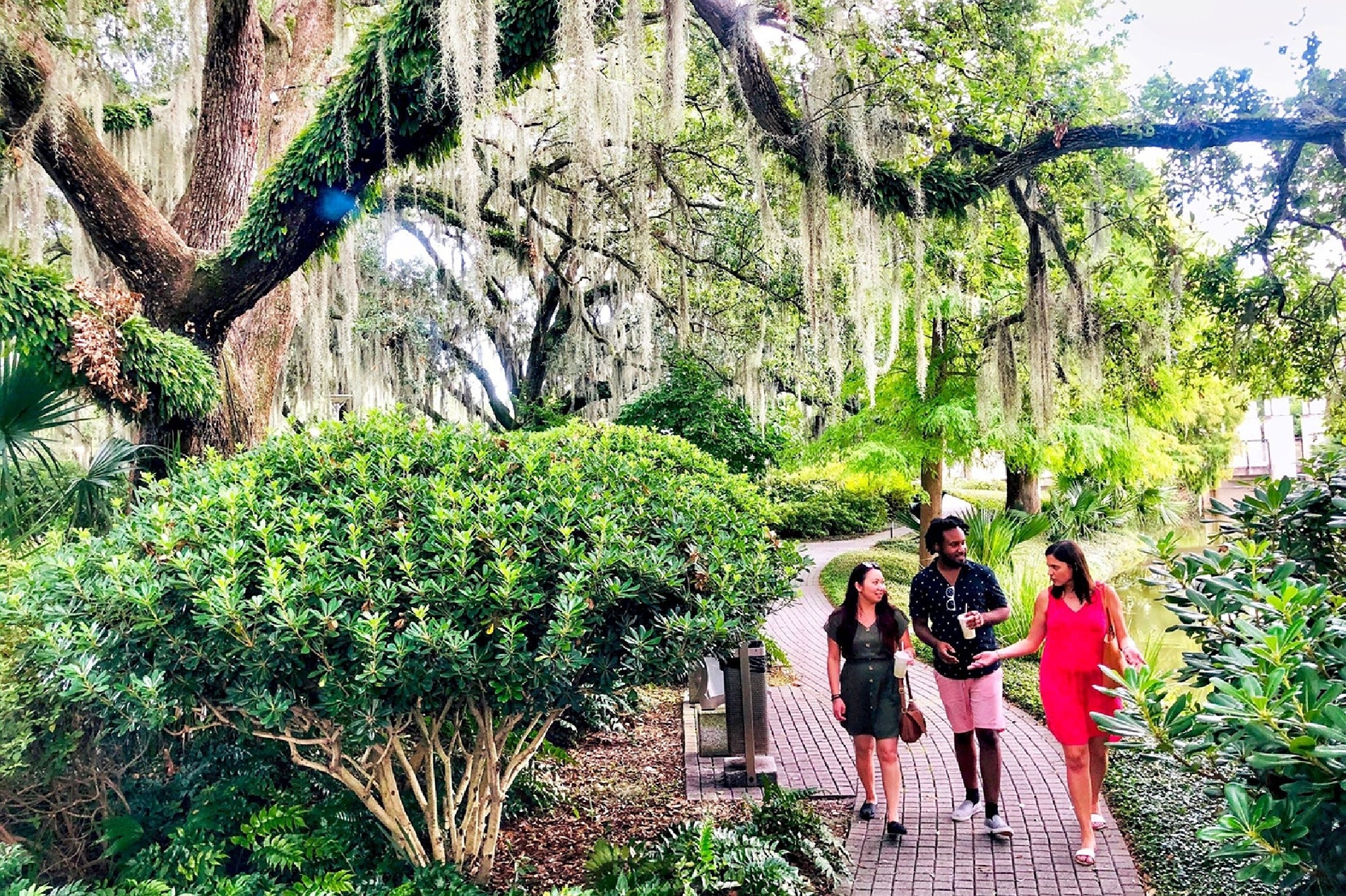 Three people walk and talk on a brick path through a lush, green park with large trees draped in Spanish moss.