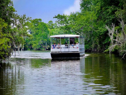 New Orleans Swamp and Bayou Tour in New Orleans, Louisiana