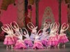 Ballerina's on stage during a performance of New York City Ballet's The Nutcracker.