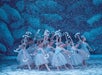 A group of ballet dancers in white tutus perform on stage, surrounded by artificial snow, with blue scenery in the background.