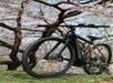 NYC eBike Rental