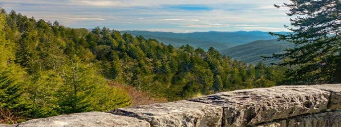 Newfound Gap Smoky Mountains Jeep Tour in Pigeon Forge, Tennessee