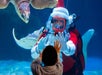 Diver in a Santa suit interacts with a child through aquarium glass, surrounded by sea creatures like turtles and rays.