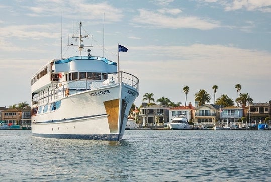 A cruise boat sitting in the water with a line of houses and palm trees behind it on the Newport Beach Brunch Cruise by Hornblower in California.