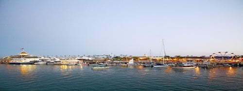 Newport Beach Dinner Cruise by Hornblower in Newport Beach, California