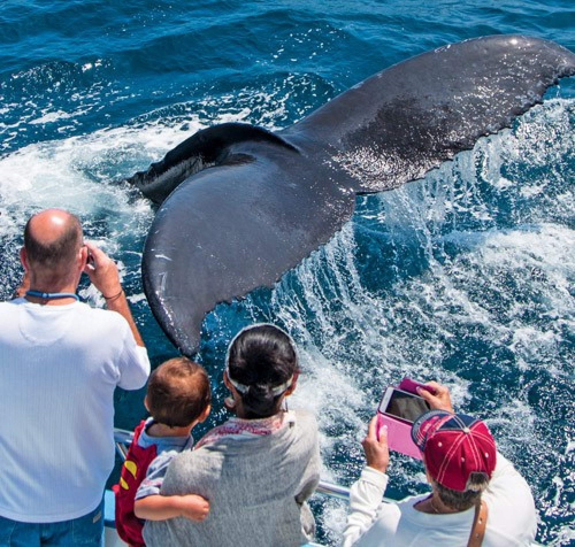 A group of people on a boat observes and photographs a whale's tail fin emerging from the ocean near the surface.