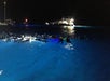 A group of snorkelers floats in illuminated blue water near boats at night.