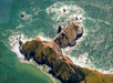 Norcal Coastal Tour in Mill Valley, California