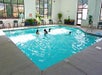 Indoor swimming pool with several people swimming. The pool is surrounded by potted plants and chairs, and large windows provide natural light.