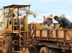 Workers in straw hats load pineapples onto a truck using a conveyor mechanism in an agricultural setting.