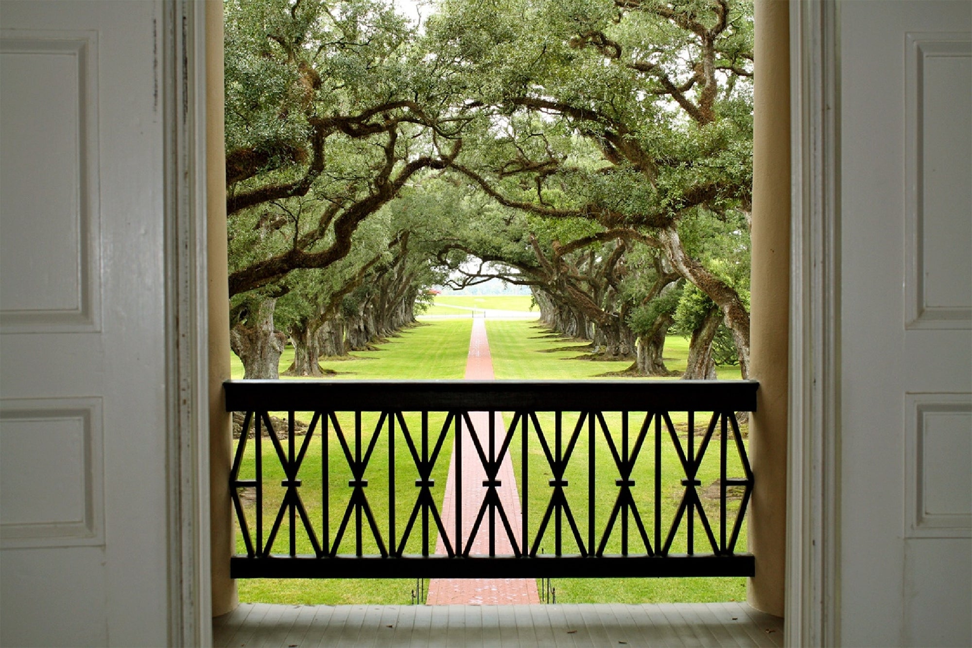 View from a doorway looking out over a balcony to a straight brick path lined with large, arching oak trees on both sides.