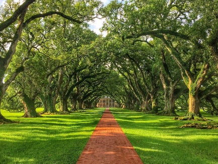 Oak Alley Plantation Tour from New Orleans in New Orleans, Louisiana