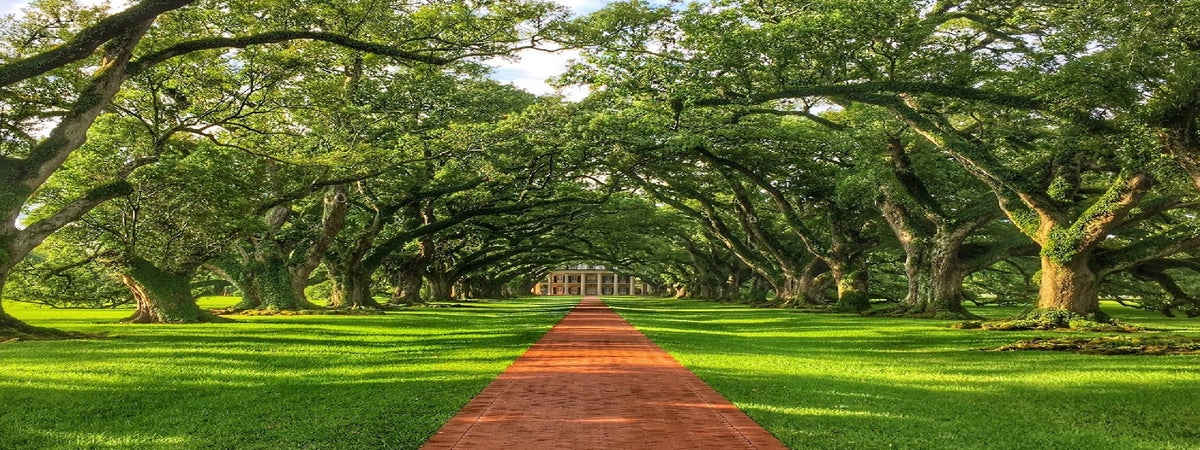 Oak Alley Plantation Tour from New Orleans in New Orleans, Louisiana
