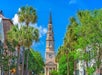 A tall historic church steeple rises above a street lined with palm trees and old buildings under a bright blue sky.