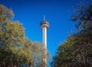 Tall observation tower with a circular viewing deck rises above green trees under a clear blue sky.