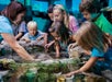 SeaLife Aquarium - Orlando Multi-Attraction Explorer Pass® in Kissimmee, Florida