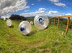 Several people roll downhill inside large transparent inflatable balls, known as zorbs, on a grassy outdoor course under a partly cloudy sky.