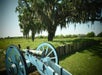 Views from the Battlefield.