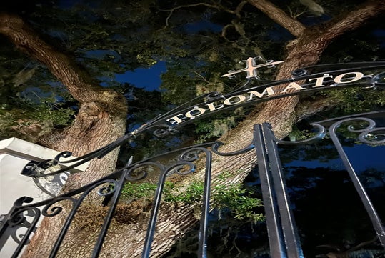 Wrought iron gate with the word "TOLOMATO" and a cross, set against two large trees and a dark evening sky.