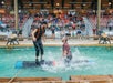 Two men compete in a log rolling event in a pool, with splash effects, while a seated audience watches in the background.