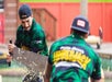 Two lumberjacks in green plaid shirts and backwards baseball caps aggressively sawing on a log.
