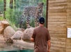 A man observes a jaguar standing on rocks behind glass at a zoo enclosure; a sign with information about the jaguar is visible.