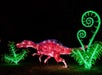 ZooLights Dinosaur at the Phoenix Zoo