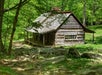 An old wooden house in the forest on the Gatlinburg Loop Smoky Mountains Tour in Gatlinburg, Tennessee.