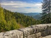 Newfound Gap Valley with trees - Pink Jeep Tours in Pigeon Forge, Tennessee