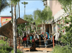 A group of people gathered near a pirate-themed attraction, surrounded by palm trees and a wooden structure, outside a building with a "Pirates" sign.