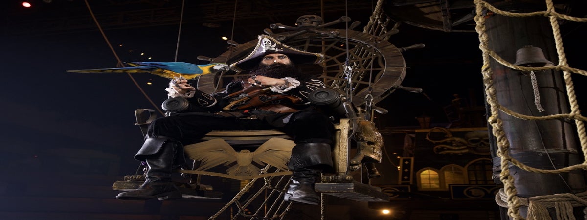 Pirates Voyage Dinner & Show in Panama City Beach, Florida