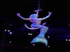 A performer in a mermaid costume is suspended on an aerial hoop, with arms raised, under stage lights.