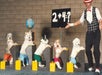 Five dogs in colorful pants sit at desks as if in a classroom, with a globe and a sign reading "2 + 4?", next to a costumed person gesturing toward the sign.