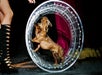 Popovich Comedy Pet Theater in Las Vegas, NV