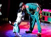 Popovich Comedy Pet Theater in Las Vegas, NV