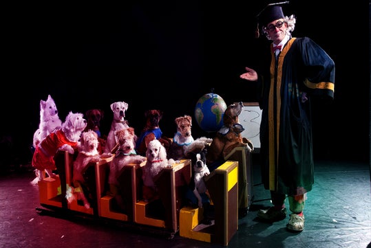 A person dressed as a professor stands next to a group of dogs sitting at desks, with a globe and whiteboard in the background, resembling a classroom setting.