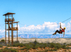 Predator Zip Lines