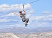 Predator Zip Lines