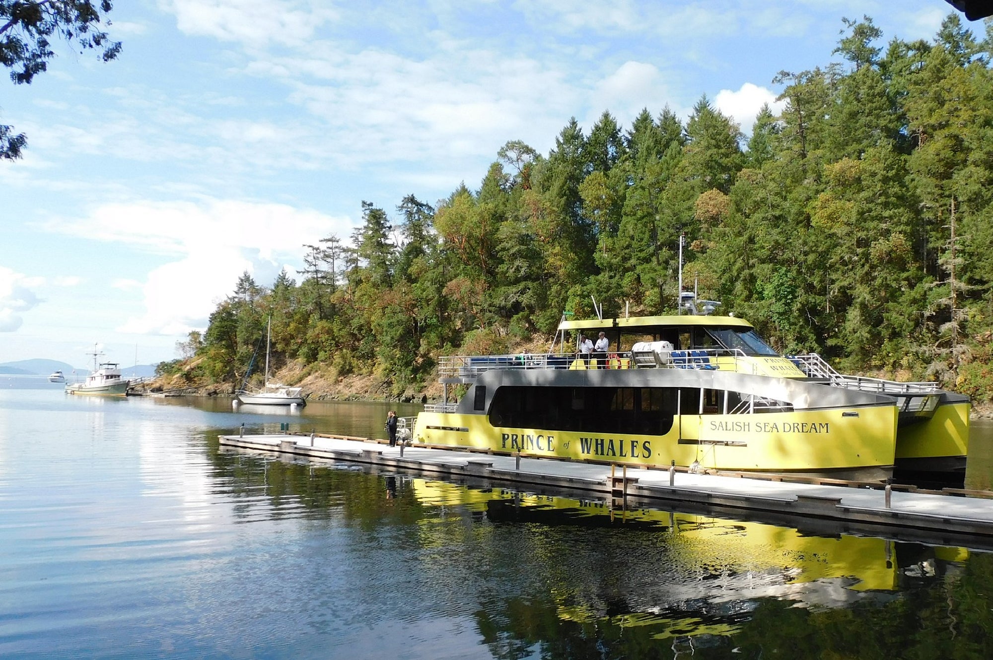 A yellow and black tour boat named "Salish Sea Dream" is docked near a wooded shoreline with a pier extending into the water. Other boats and trees are visible in the background.