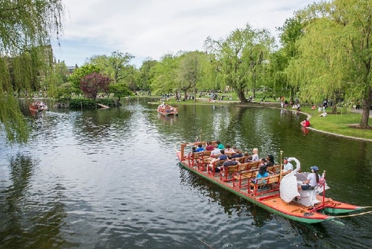 Boston Public Garden