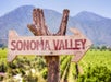 A sign for Sonoma Valley with grapevines in the background