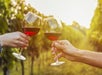 Two people tosting with red wine at a vineyard in Sonoma Valley