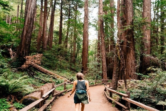 Hiking on Muir Woods path in Northern California