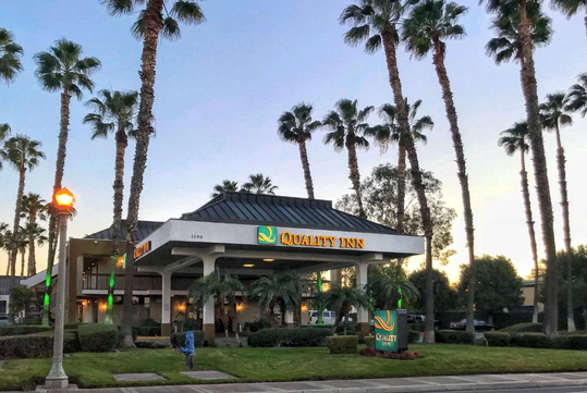 Quality Inn hotel entrance surrounded by tall palm trees and greenery under a clear sky at dusk.
