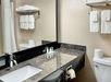 Bathroom with a granite countertop, sink, mirror, and toiletries. Towels are neatly hung on racks, and a toilet is visible next to the counter with a roll of toilet paper.