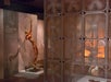 Museum exhibit showing a human anatomical model with muscle and tissue exposed, next to displays about the respiratory system and various fans.